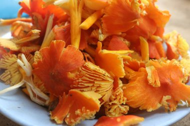 Chanterelle mantarı, chanterelle mantarı, yabani mantar.