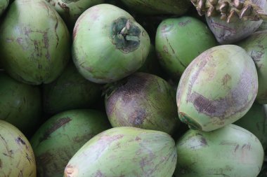 Markette hindistan cevizi meyvesi