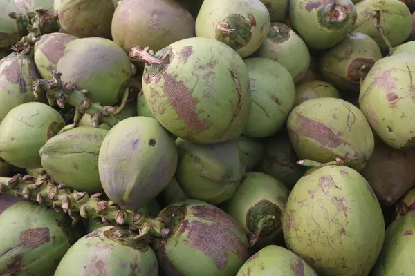 Sokak yemekte taze hindistan cevizi