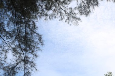 Beyaz bulutlu mavi gökyüzü arkaplanı