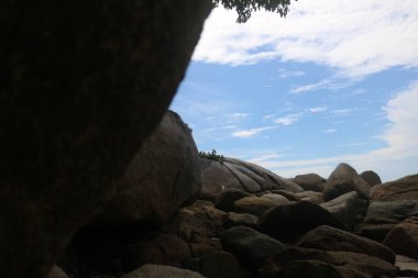 Güzel deniz ve doğa manzarası