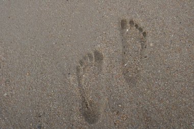 Kumda ayak izi