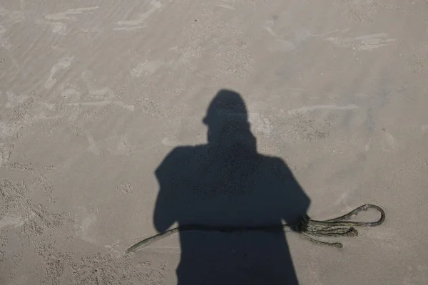 Güneşli bir günde kumsalda yürüyen birinin dikey görüntüsü.