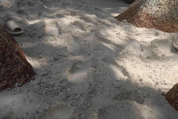 plaj kum ve deniz arka plan