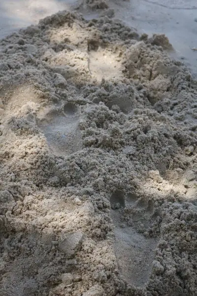 sand texture background, sand texture, sand
