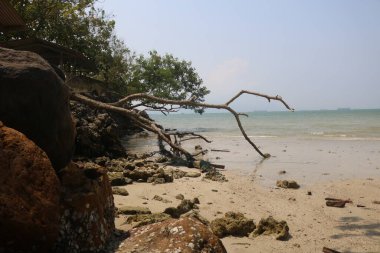 Koh samui adası - Tayland - Nisan 2016