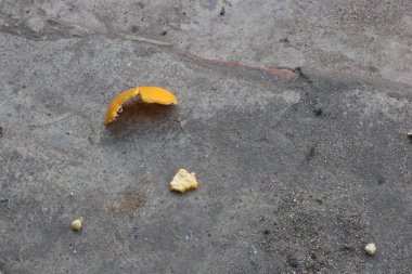 Yerde turuncu ve siyah yapraklar