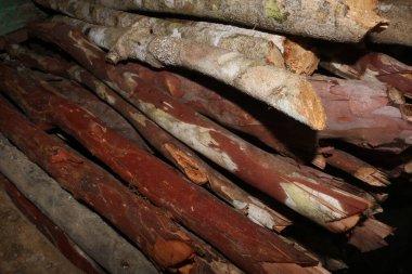 eski ahşap kütükler, ahşap zemin.