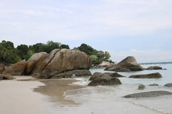 Tayland 'da tropik bir ada. koh samui.