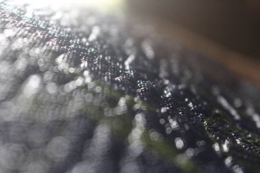 Yaprak yiyen tırtıllar ve ayrıca dokunulduğunda kaşınan tırtıllar vardır.