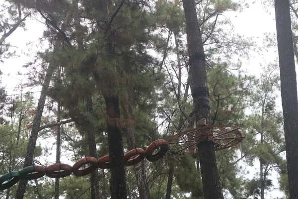 a man on a rope course in the woods