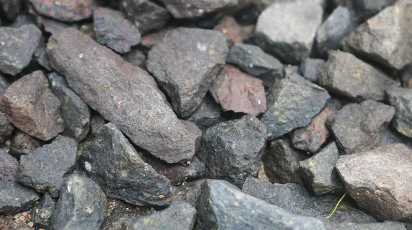 Küçük sarı çiçekli taş ve çakıl yığını.