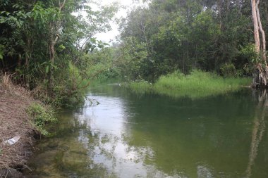 Nehrin güzel manzarası