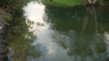 Doğanın güzel manzarası