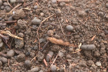 Toprağın zemini, kahverengi toprağın dokusu.