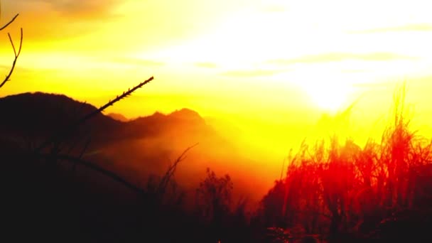 インドネシア ジャワ州ブロモ国立公園の朝の火山クレーター — ストック動画