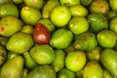 Sokak pazarında taze yeşil avokado meyvesi