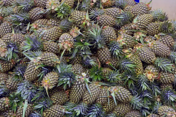 Kraliçe ananas. Endonezya 'da özellikle Güney Sumatra' nın Prabumulih ve Muara Enim bölgelerinde yetiştirilen bir ananas türüdür. Bu tip kraliçe ananaslarının daha tatlısı vardır.