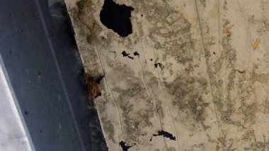 İki bölgeyi birbirine bağlayan çelik bir köprü inşa ediliyor. Derin bir nehri geçmek. Nehir suyu. yeşil bitki arkaplanı