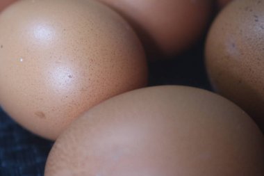 Yumurta kutusundaki tavuk yumurtasını kapat.