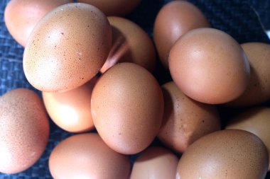 Kutudaki yumurtalar. Kutudaki yumurtalar.