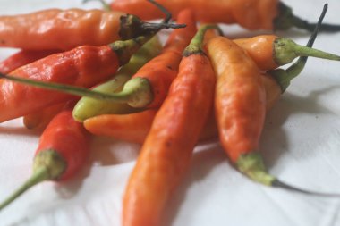 taze ve tatlı biber