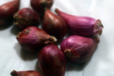 beyaz zemin üzerine soğan