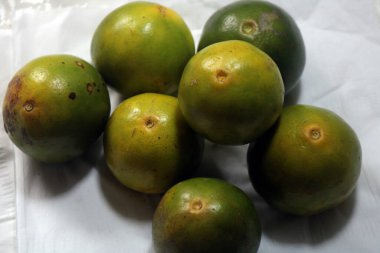 Beyaz arka planda taze yeşil mango meyvesi