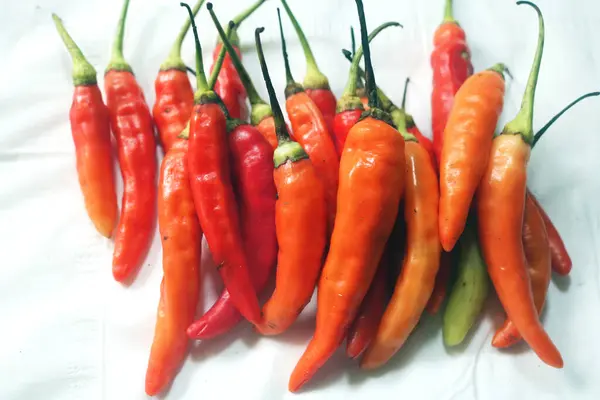 Beyaz arka plan üzerinde izole kırmızı sıcak biber biber