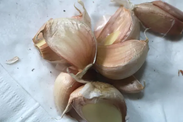 ahşap tahta üzerinde taze sarımsak