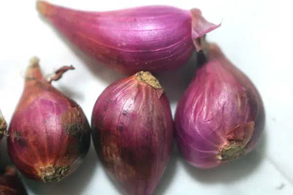 Beyaz arkaplanda soğanlar