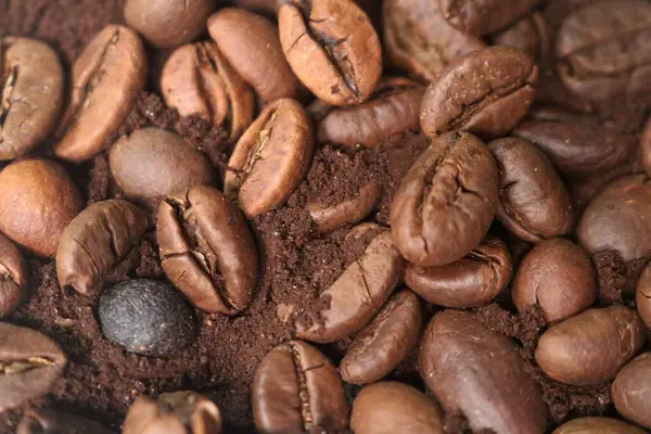 Kahve çekirdekleri ve kızarmış kahve çekirdekleri.