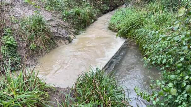 小さな滝の上を流れる流れ 水は汚染のために茶色になっています 大雨が農業廃棄物や下水を下流に流している — ストック動画