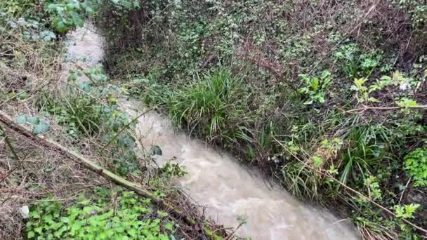 Stream Running Small Waterfall Water Brown Due Pollution Heavy Rain — Stock Video