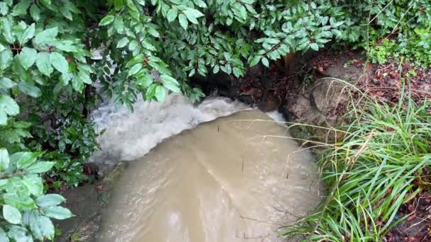 一条流过小瀑布的小河 由于污染 水是棕色的 大雨正冲刷着下游的农业废物和污水 — 图库视频影像
