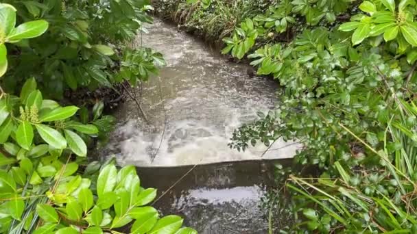 Потік Проходить Над Невеликим Водоспадом Вода Коричнева Через Забруднення Важкий — стокове відео
