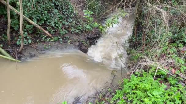 一条流过小瀑布的小河 由于污染 水是棕色的 大雨正冲刷着下游的农业废物和污水 — 图库视频影像