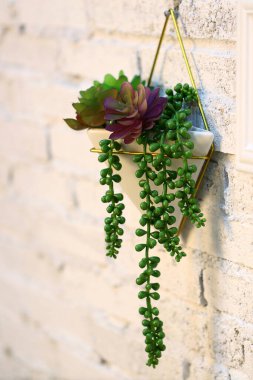 Duvarda asılı duran tuğla bir saksı.