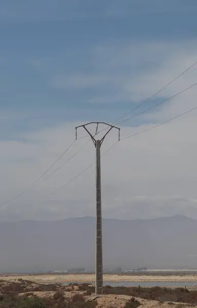 Gökyüzünün arka planında elektrik direği