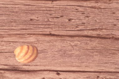 Tahta bir masanın üzerinde kahverengi yuvarlak bir ekmek