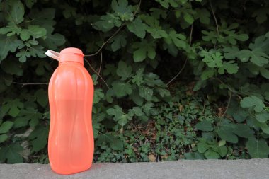 Bahçenin arka planında su olan turuncu şişe.