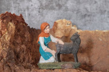 Güzel beyaz ve kahverengi bir köpeğin yakın çekimi.