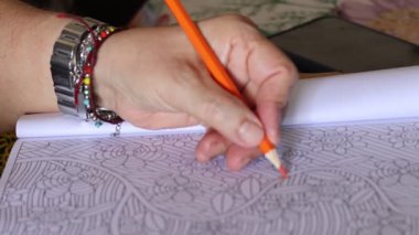 Kadının eli defterine bir kalem çizer, yakın plan..