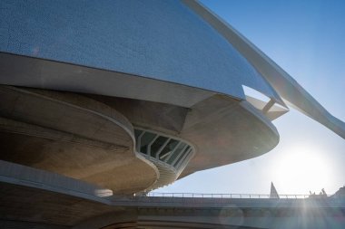 Valencia, İspanya 'daki Ciudad de las Artes y las Ciencias' ın fevkalade manzarası fütüristik mimarisini ve çarpıcı yansımalarını sergiliyor. Santiago Calatrava ve Candela tarafından tasarlandı.