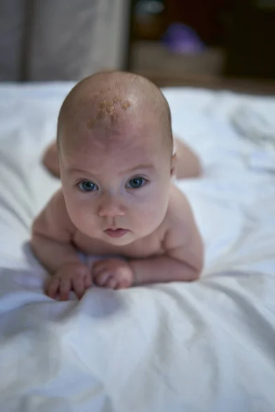 Bebé Cuatro Meses Acostado Cama —  Fotos de Stock