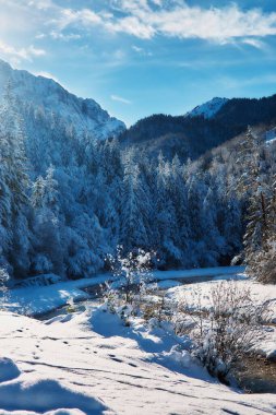 Slovenya 'da kış tatili