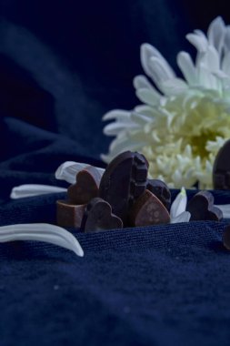  Keçiboynuzundan ev yapımı çikolata.                         