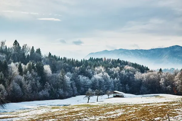 Vista Espetacular Campo Inverno Com Montanhas Fundo — Fotografia de Stock