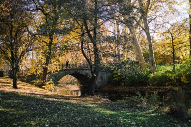 Sonbaharda Hannover 'da park