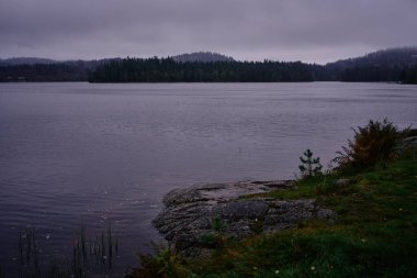 Norveç 'in yağmurlu günlerinde sihirli peri kuyruğu karanlık orman